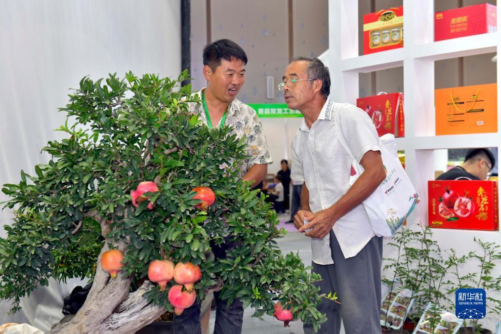 实亿国际安全吗
